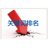 蒙阴网站关键词排名下降原因有哪些