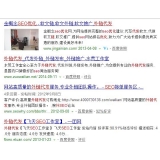 蒙阴朱安安：SEO外链代发行业大揭密